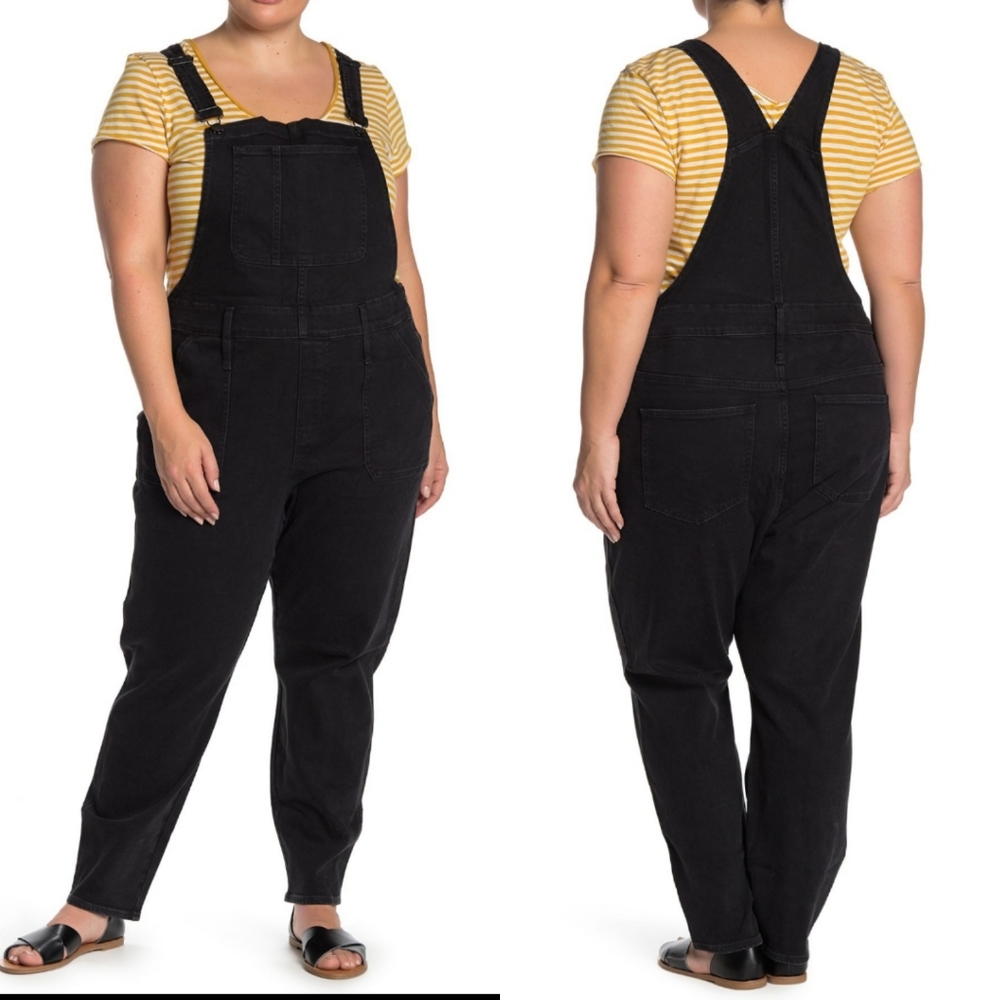 NWT Madewell petite plus size lunar wash overalls